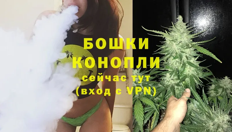 закладка  Ногинск  Шишки марихуана THC 21% 